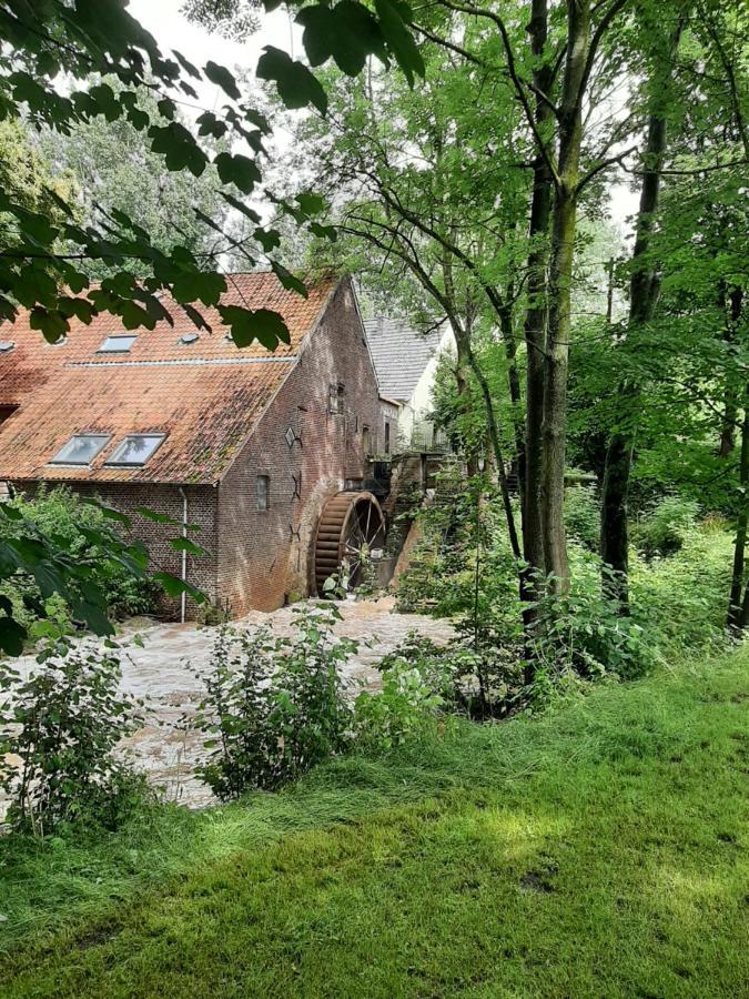 Molenbergrust Villa Zwalm Exteriör bild